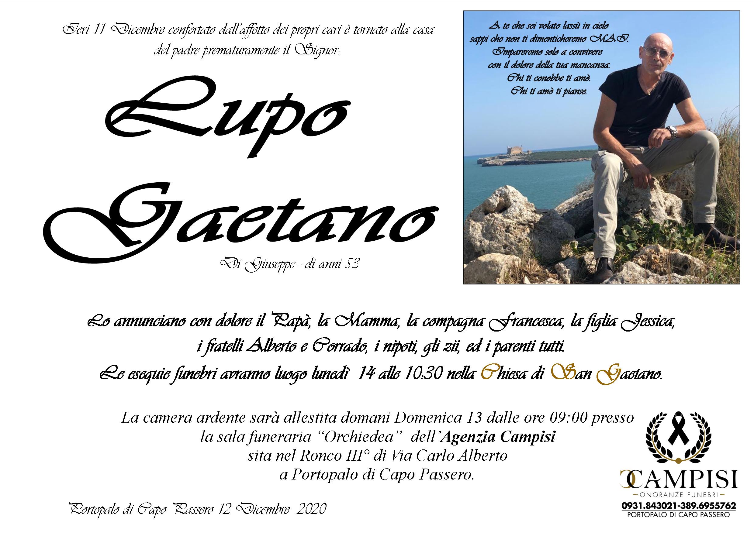 Lupo Gaetano